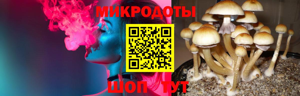 Псилоцибиновые грибы ЛСД  Вход с VPN  где найти наркотики  Корсаков  Псилоцибиновые грибы мицелий 